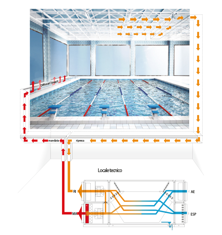 schema piscina 38